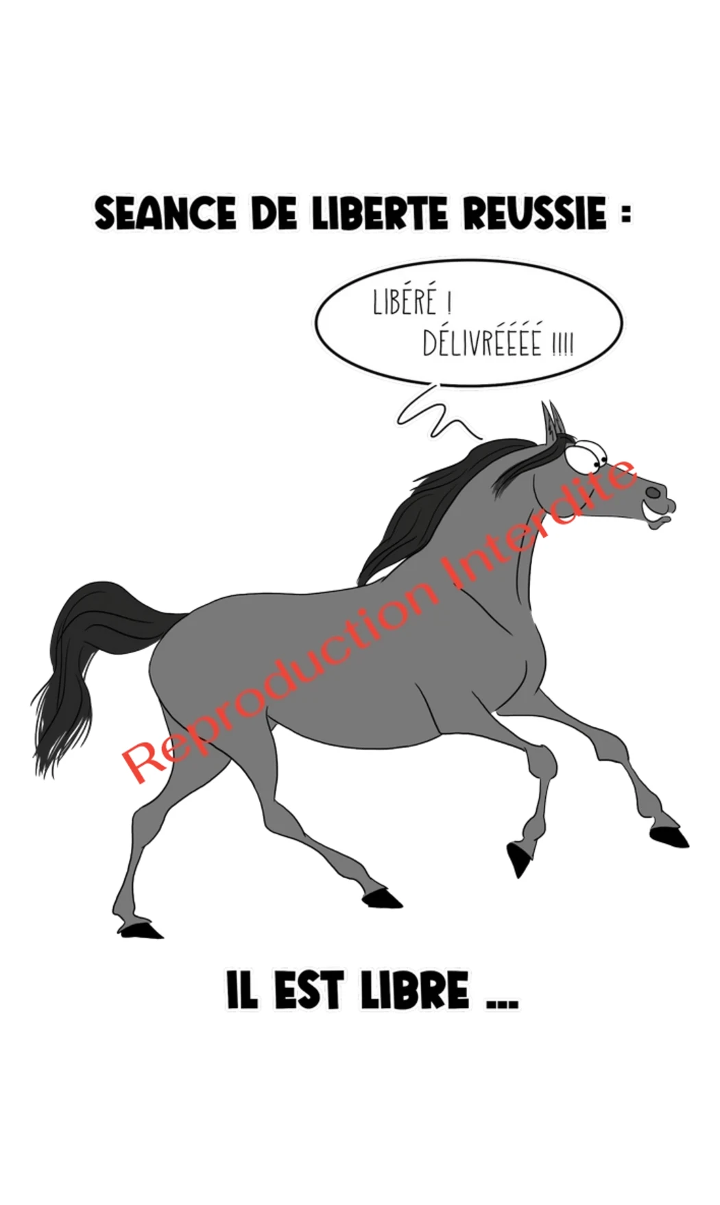 Séance de Liberté Réussie