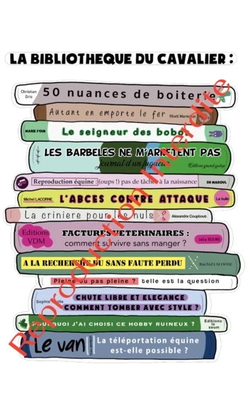 Bibliothèque du Cavalier