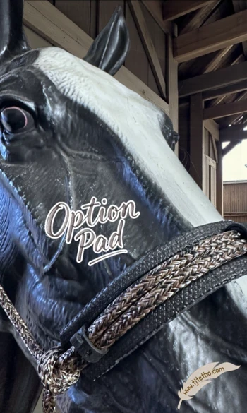 Pad Muserolle ou Têtière