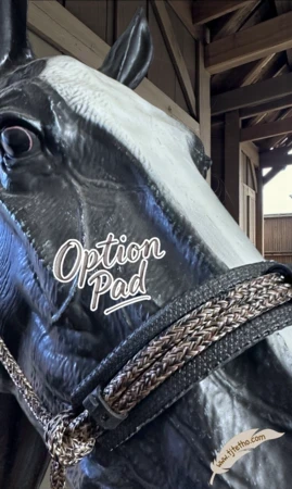 Pad Muserolle ou Têtière