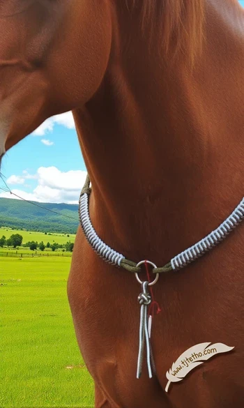 Collier d'encolure Aïnara