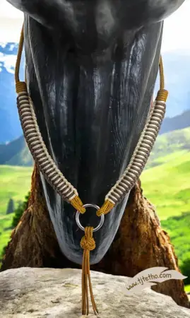 Collier d'encolure Aïnara