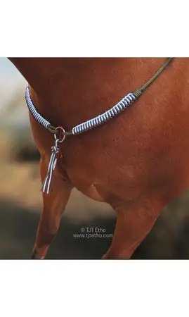 Collier d'encolure Aïnara