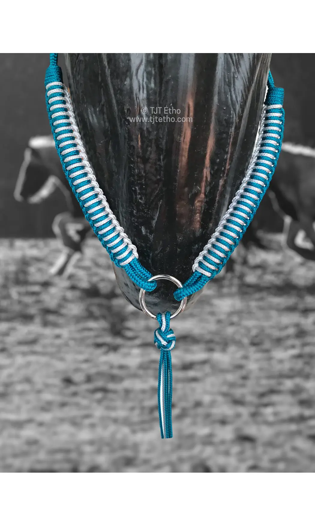 Collier d'encolure Aïnara