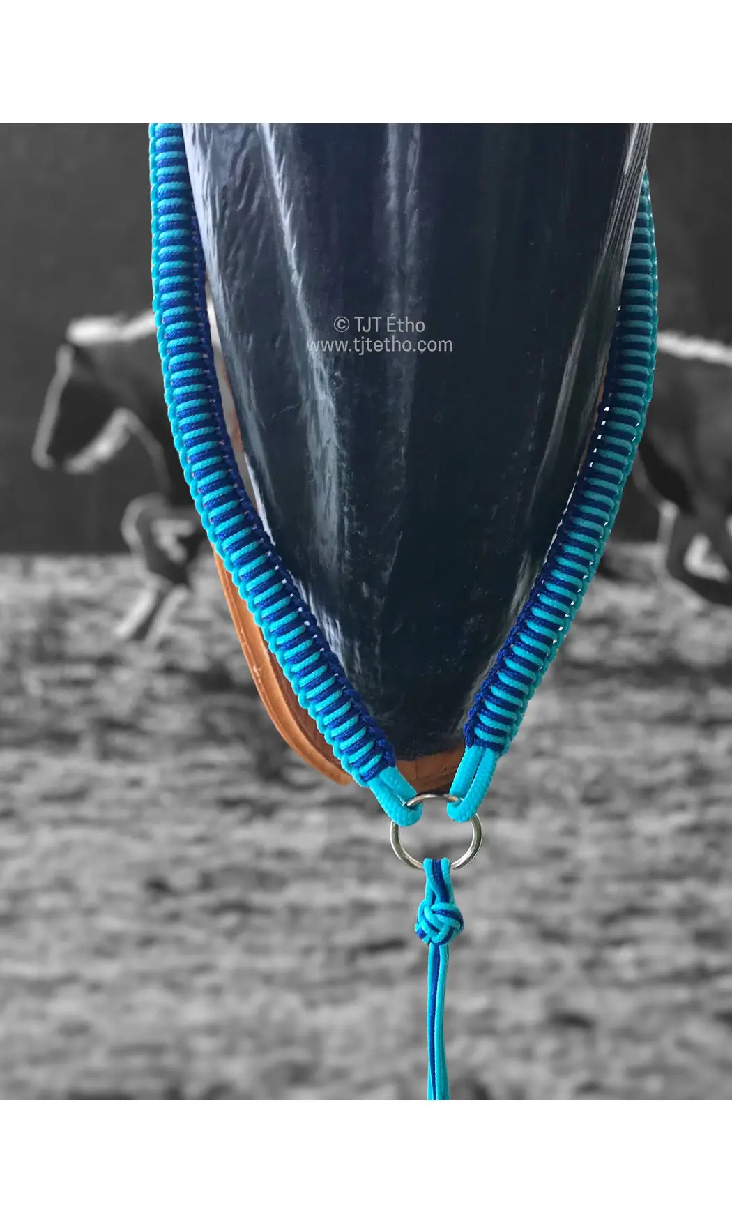 Collier d'encolure Aïnara