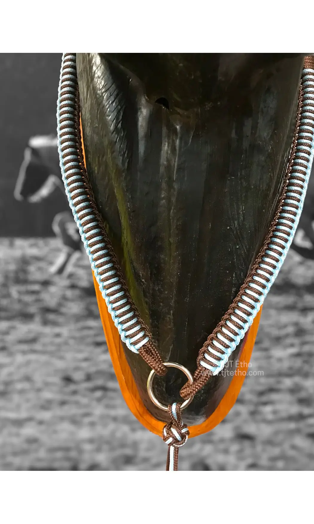 Collier d'encolure Aïnara