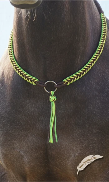 Collier d'encolure Anatzi