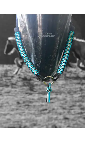 Collier d'encolure Anatzi