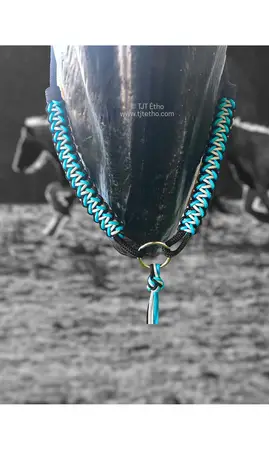 Collier d'encolure Anatzi