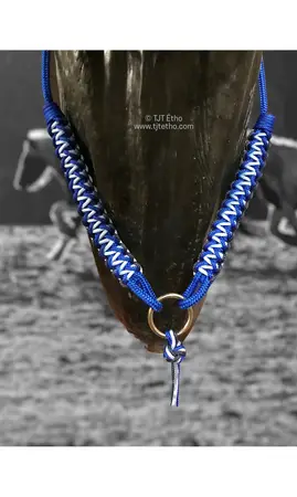 Collier d'encolure Anatzi
