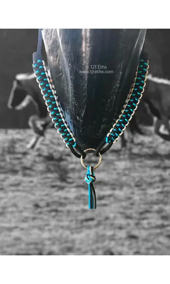 Collier d'encolure Atomic