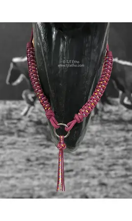 Collier d'encolure Atomic