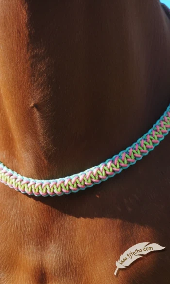 Collier d'encolure Anatzi 2