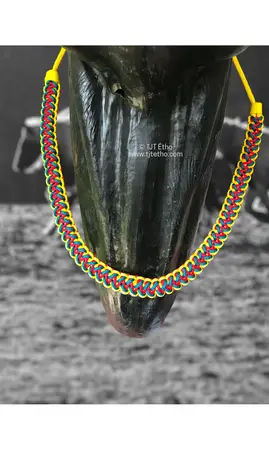 Collier d'encolure Anatzi 2