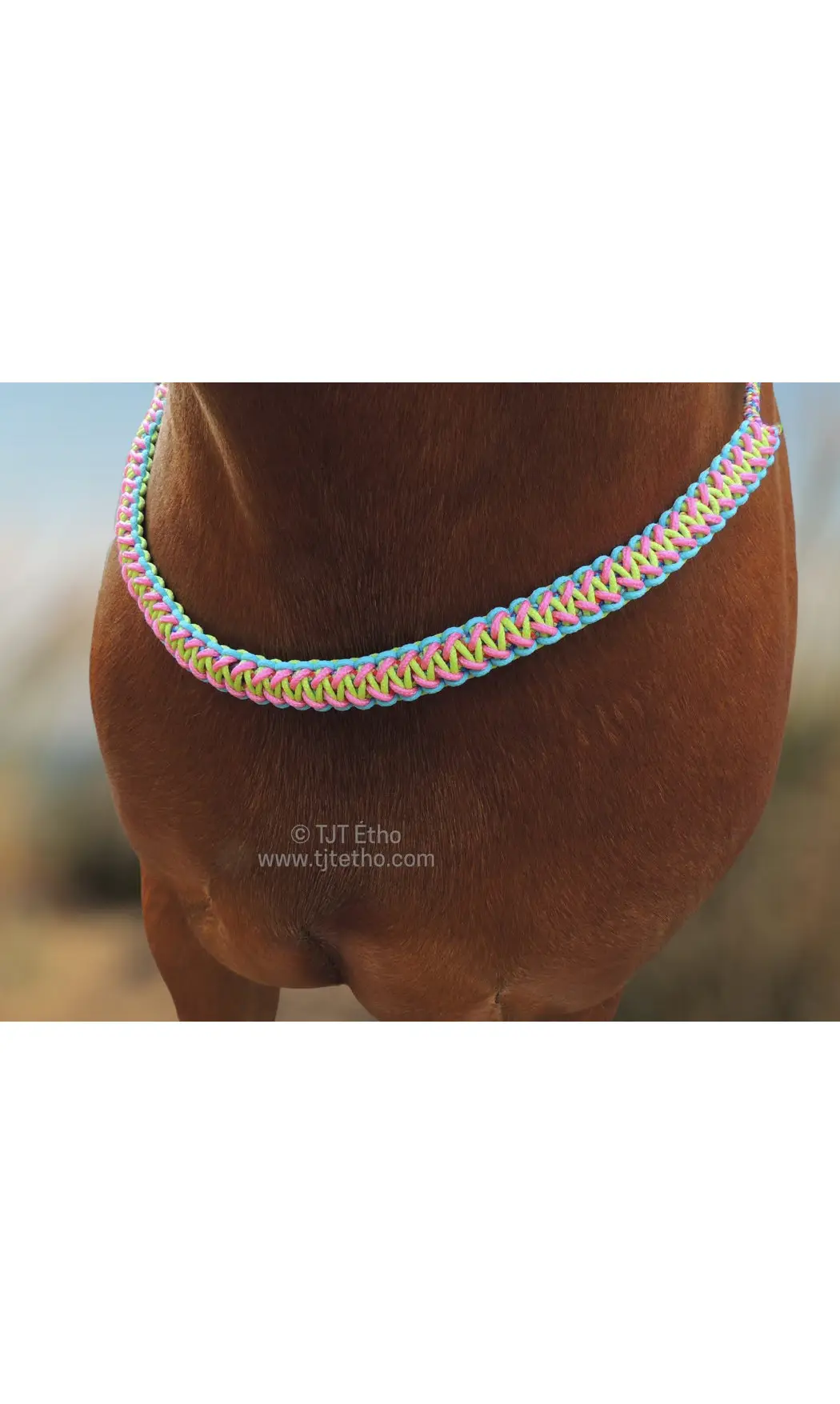 Collier d'encolure Anatzi 2