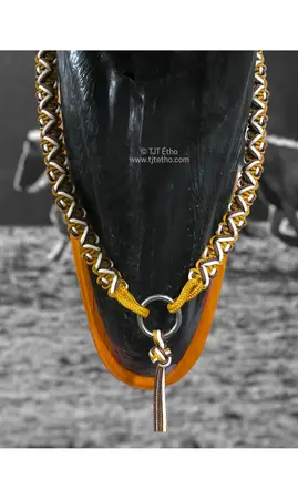 Collier d'encolure Twist