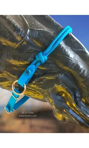 Muserolle side pull biothane