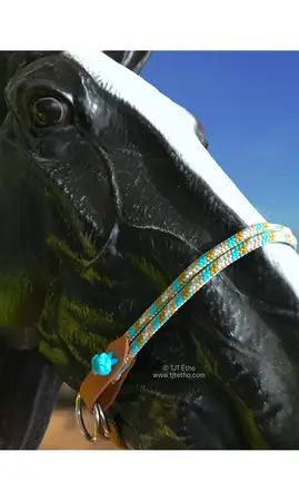 Muserolle side pull biothane