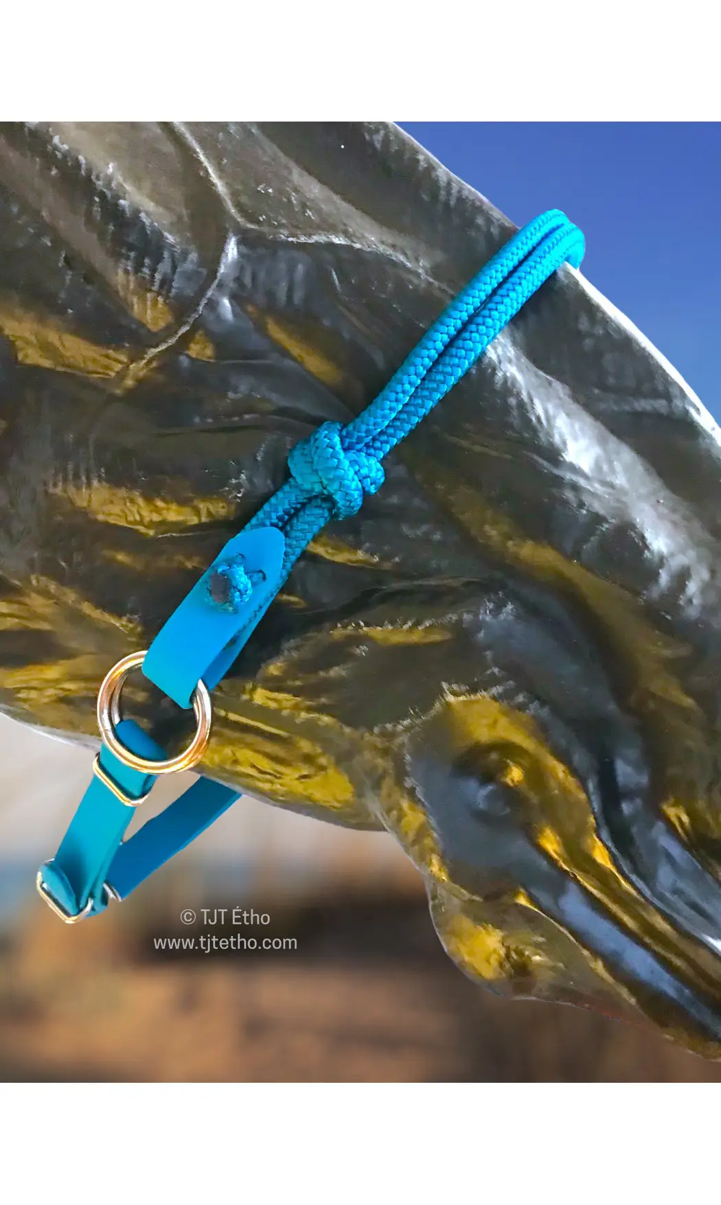 Muserolle side pull biothane