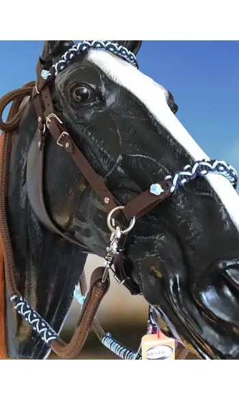 Filet side pull simple