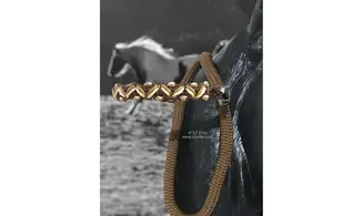 Poignées de rênes/selle