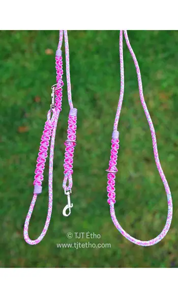 Laisse 3 positions 6mm