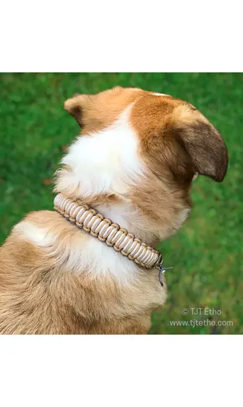 Collier large corde/biothane