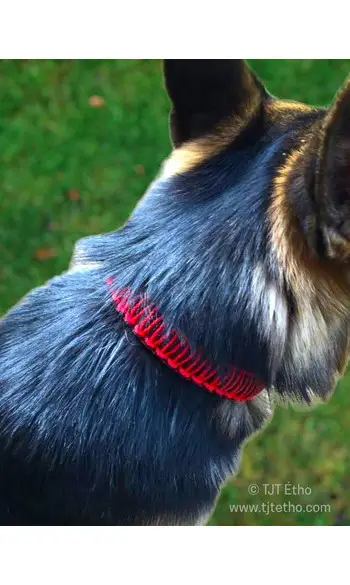 Collier large corde/biothane